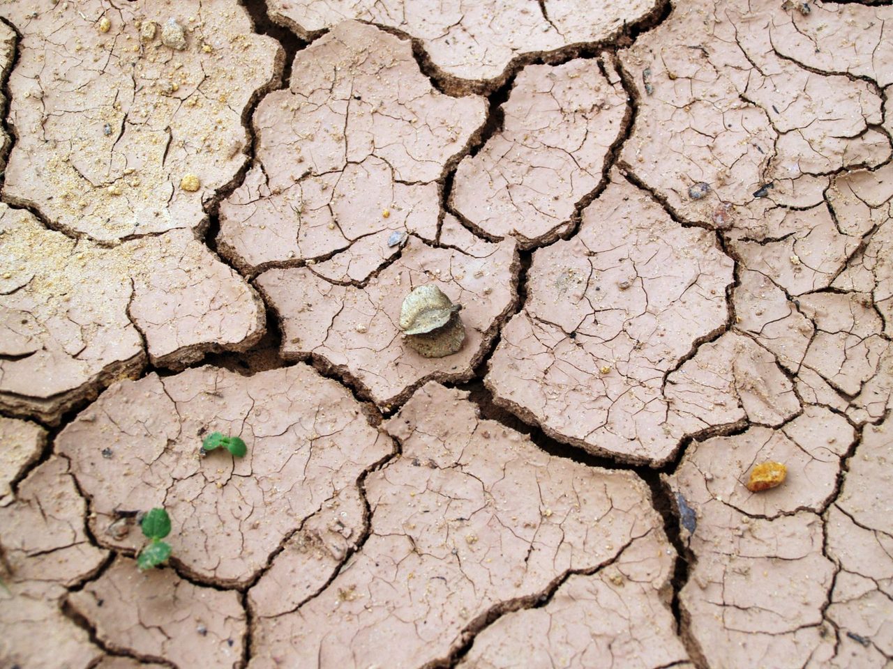 Why So Many Big Cities Are Running Out of Water — and Why Fixing Leaks Beats Building Dams
