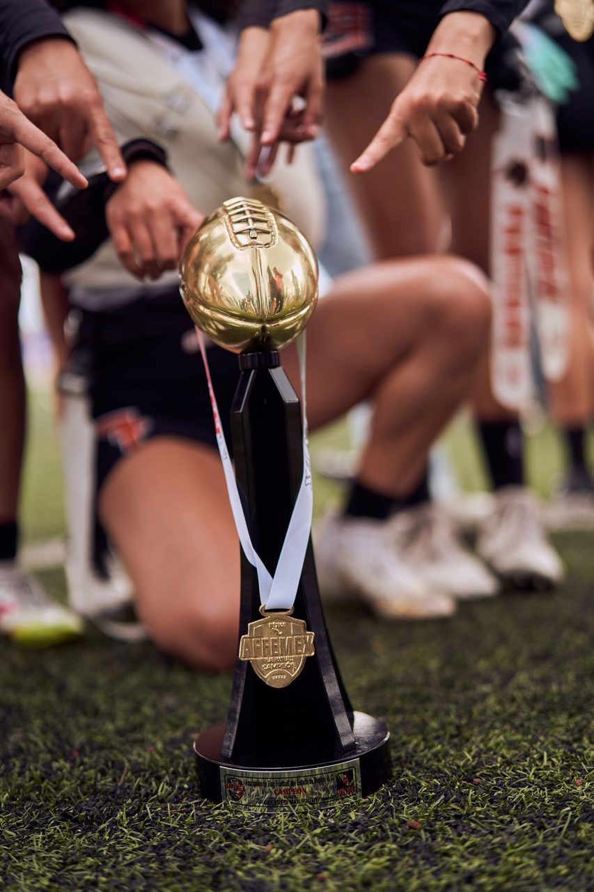 A team celebrates a championship victory - the dream every side chases at a World Cup.