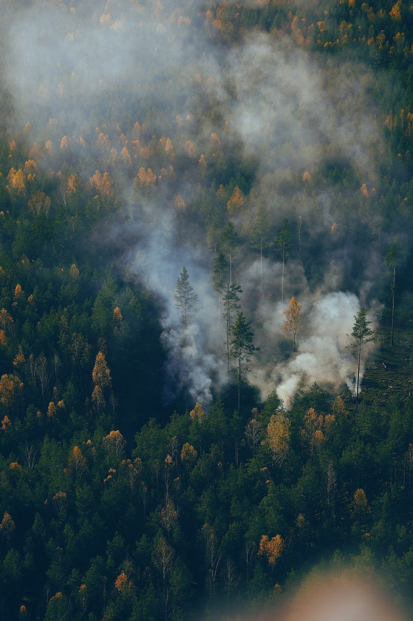 Thick smoke rises from a forest โ the scale of Europe's wildfire season.